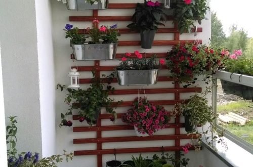 whatsapp image 2026 01 03 at 3.14.13 pm (2)