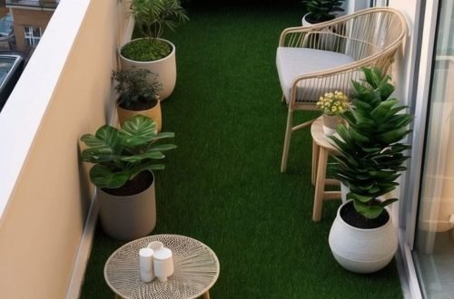 whatsapp image 2026 01 03 at 3.14.14 pm