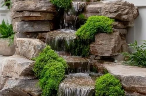 whatsapp image 2026 01 04 at 6.14.05 am