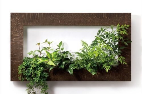 whatsapp image 2026 01 04 at 6.14.08 am (2)